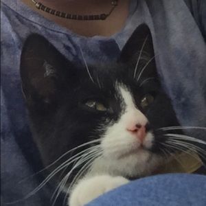 Meet your Posher, Candace